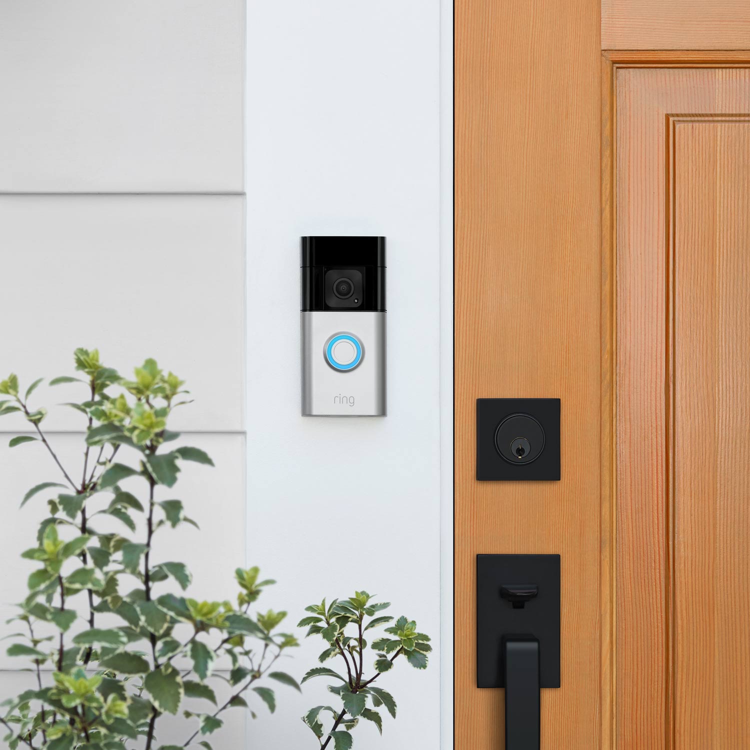 Ring Battery Video Doorbell Plus