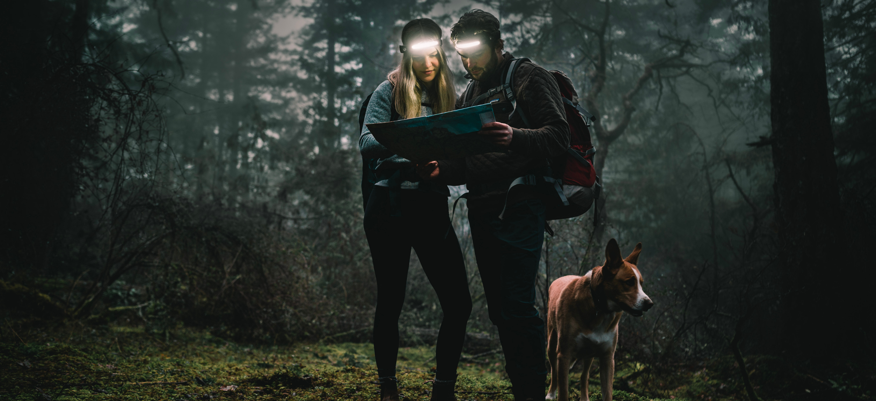 HeadBeam™ Rechargeable Head Torch